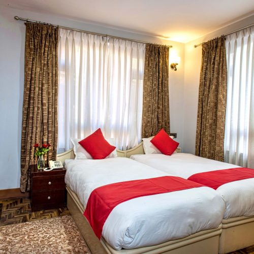 Deluxe Twin Room